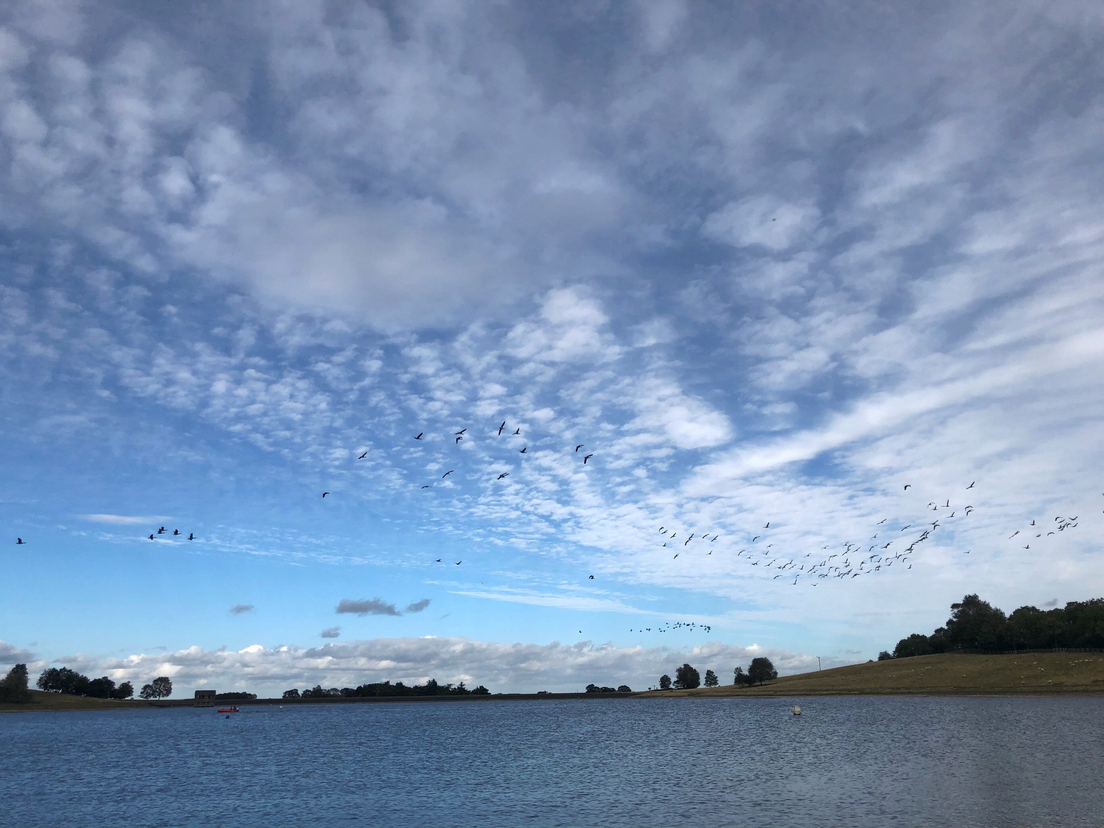 Photo by Mike Shorten