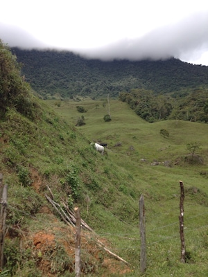 The beautiful mountains surrounding many cities in Antioquia. If you take the bus in Colombia you will get to see this scenic landscape.
