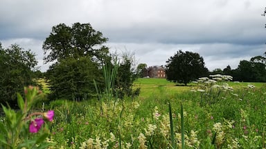 A nature lovers view of Berrington Hall from the lake on the estate. :)