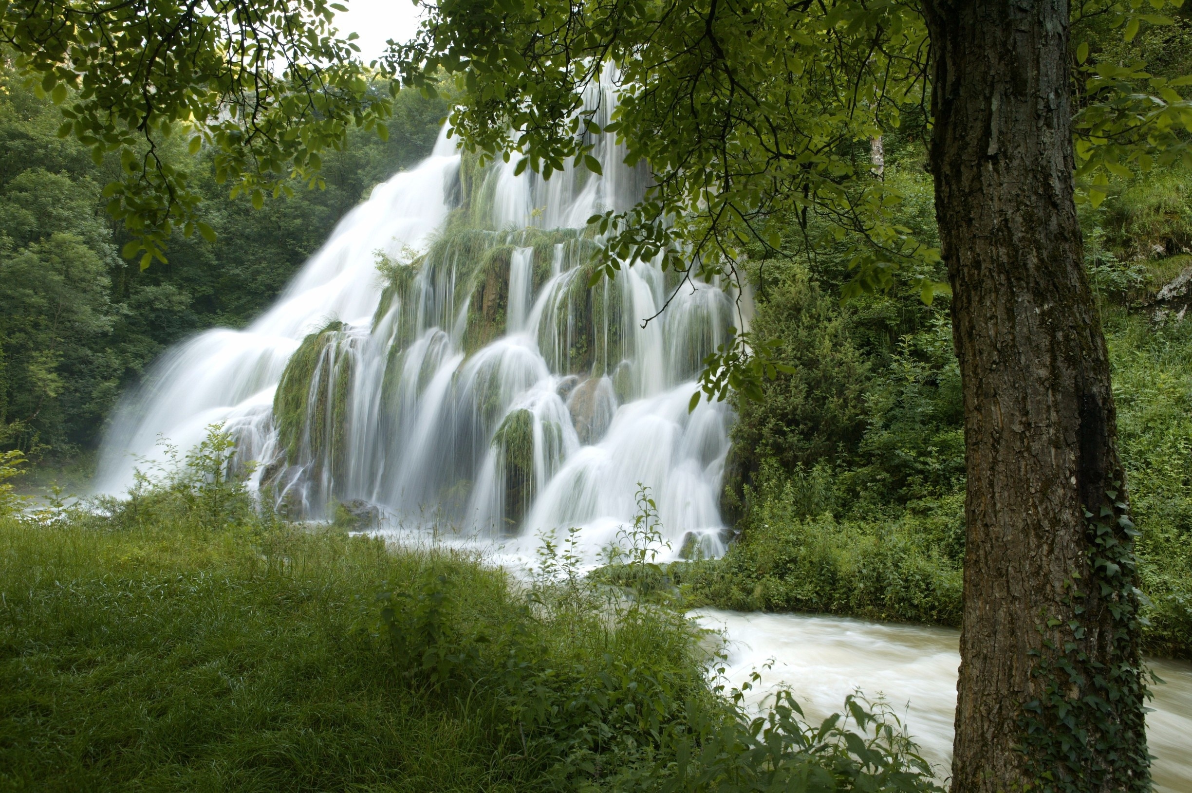 Superb Waterfalls!
Check our video of this amazing place
http://bit.ly/CascadesduHérisson

#TheAmbientCollection #Waterlust