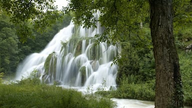 Superb Waterfalls!
Check our video of this amazing place
http://bit.ly/CascadesduHérisson

#TheAmbientCollection #Waterlust