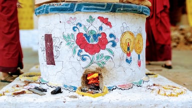 Two monks at Punkaha Dzong are preparing to face a cold winter night by lighting a beautifully decorated fireplace.

#Bhutan #culture 
