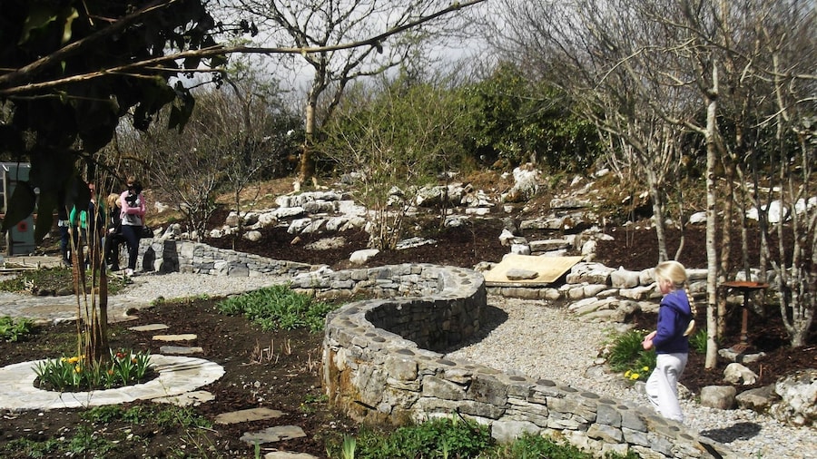 Burren Perfumery