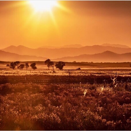 value: "Millville Plains, Northern CA. \nGolden Summer Afternoon.  \nSometimes the haze can be used to an advantage.\n#golden"
