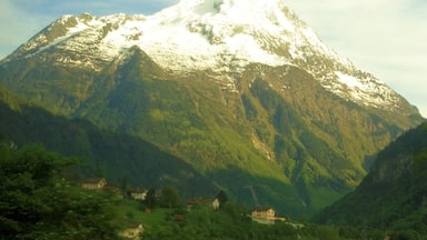 Mt. Bristen in the Canton of Uri. Bristen rises to 3,073 m/10,082 ft. It's a really impressive sight to see from the train! I'd love to do some hiking around there, too :).