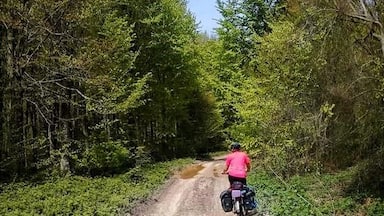 From the sea level, up on the hills of Kiyikoy. Following the forest tracks can reveal you a very nice scenery. Forestmen are expected to serve you some tea that they cooked on the wood fire :) Though it might be tricky when it comes to climb the hills with a heavy weight on your bike. Stay strong. #LifeAtExpedia