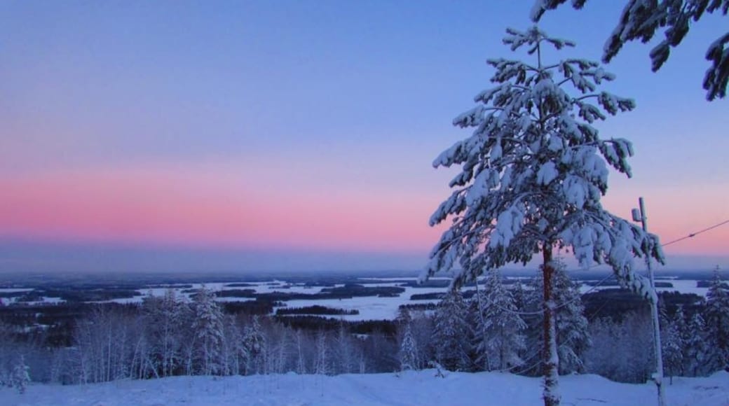 Nilsia, Kuopio, Northern Savonia, Finland