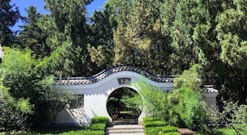 Laodong park is a beautiful place of green and lakes within a large, modern city. The main thoroughfare in the park is lined with the animals of the Chinese Zodiac.