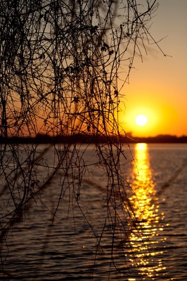 Sunset over Guma lagoon Botswana
