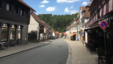 Small authentic German village in Harz. Famous for their Altenauer beer.