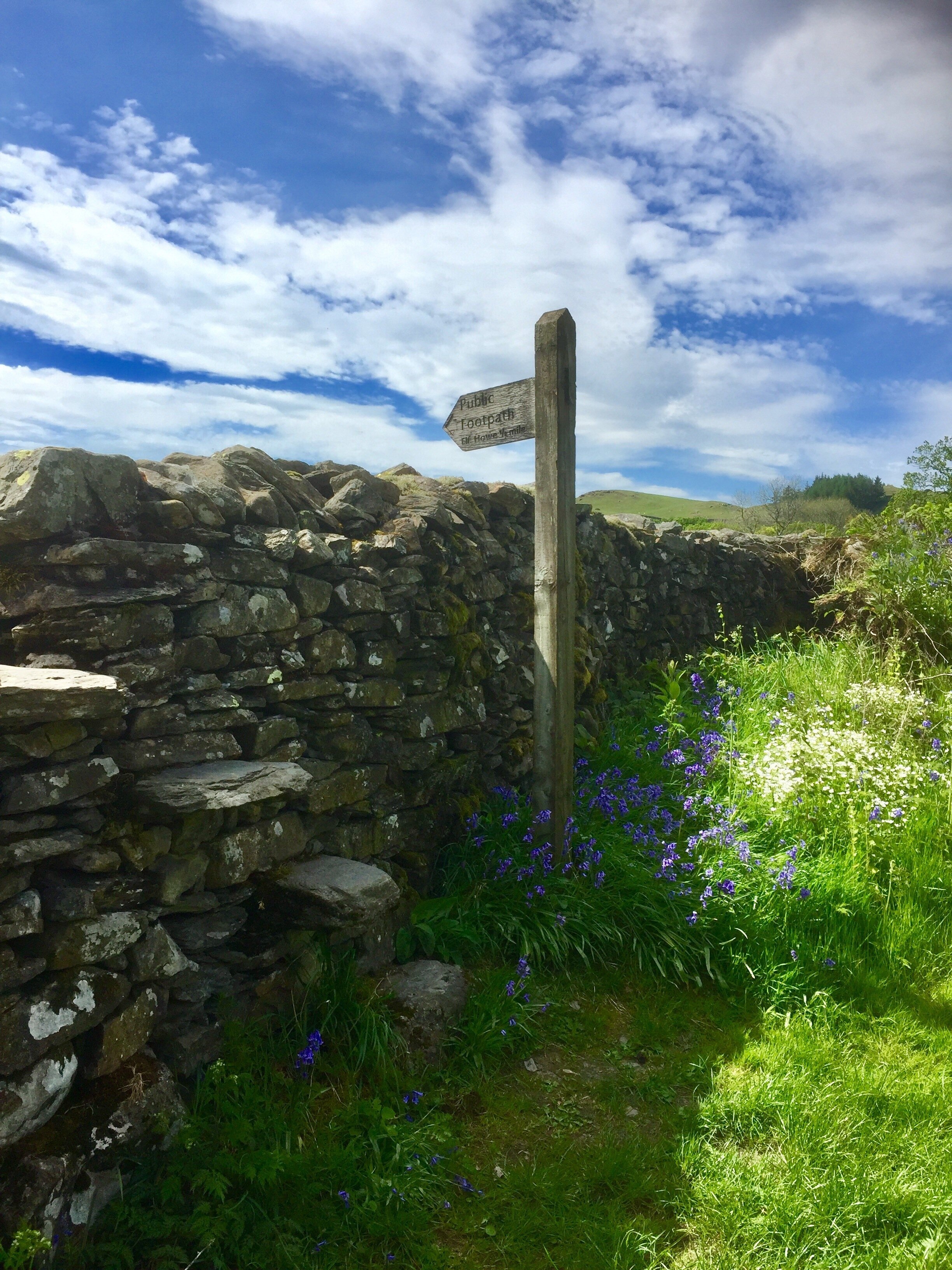 Foto av Kathy Appleby