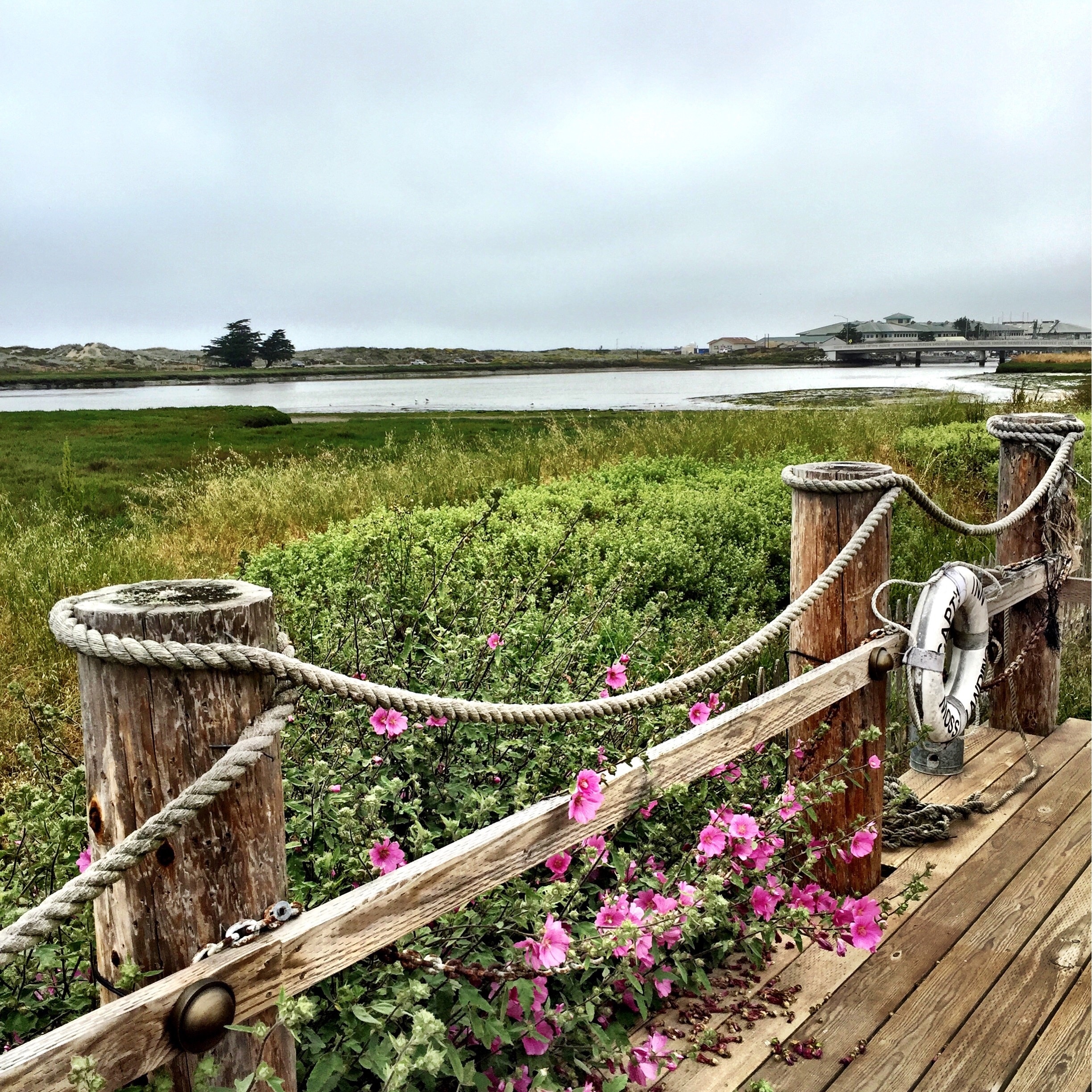 Visit Moss Landing 2021 Travel Guide for Moss Landing, California