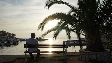 When you keep driving untill the end of the road on the island Pag, you end up at the small harbor of the town Lun.
Which is a small and calm place where you can have swim and enjoy the feeling of being at the end of the world.