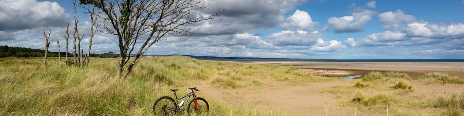 Tentsmuir forest and beach on a sunny morning is a great place to escape to for a walk or a bike ride.