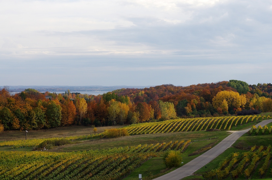 The peninsula is Michigan's version of Napa. Not as big but it makes some pretty good wines.