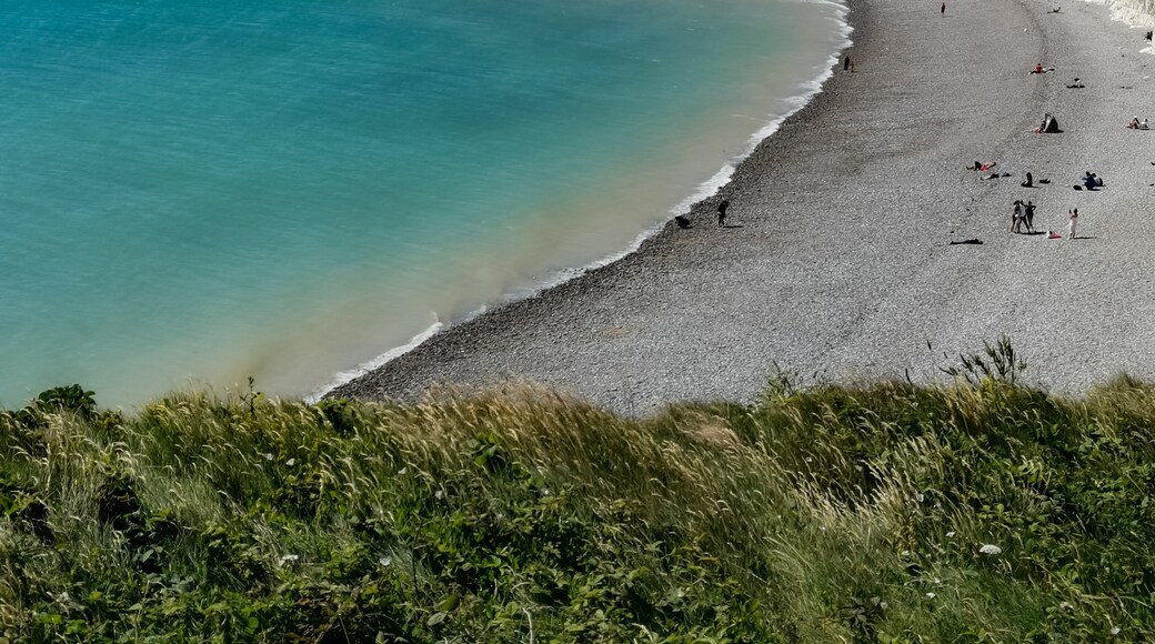 Foto tomada por Marc Green