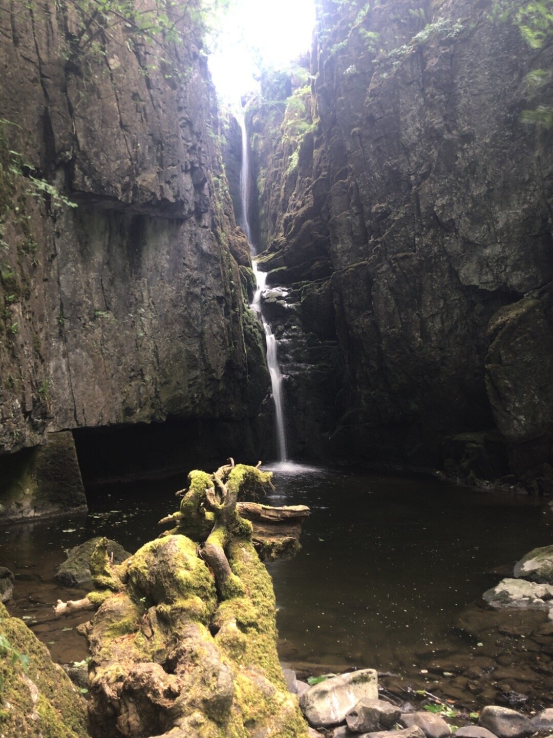 Foto av Sarah Harker