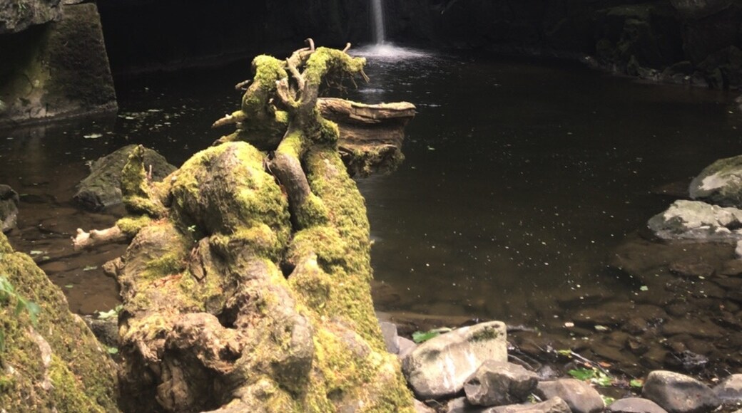 Foto de Sarah Harker