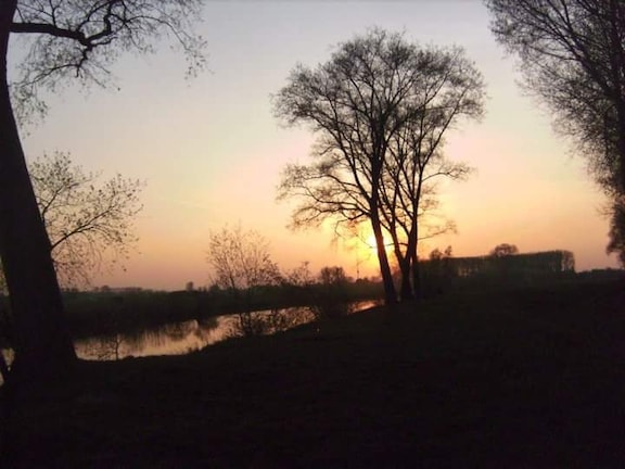 One of my favorite spots in the world. A part that's cut of from the river Leie. high trees. Gras. And untouched nature. What else do you need. #lovemycity