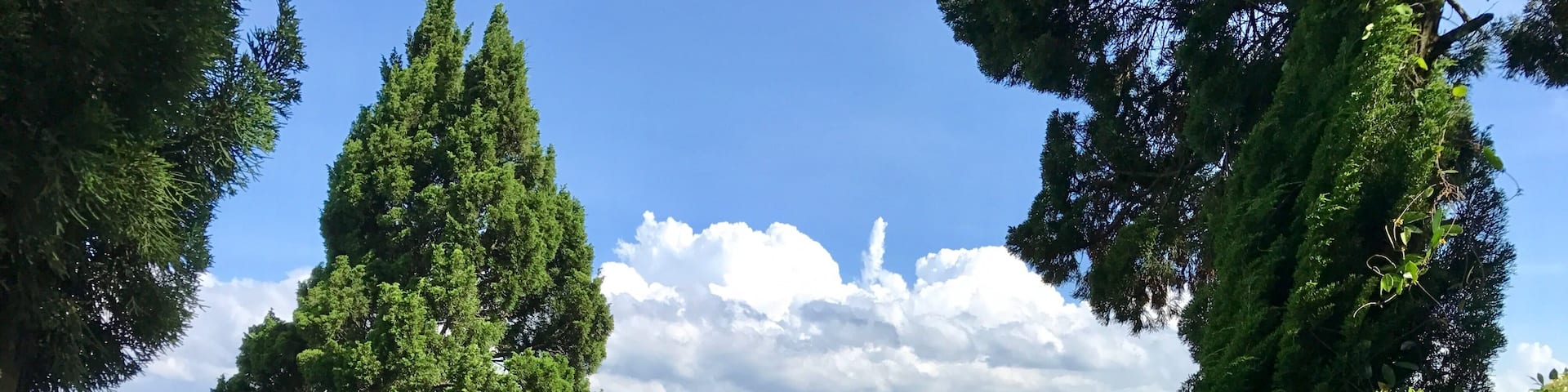 Huaqiao cemetery is definitely worth visiting. First of all it is a part of Chinese culture and you have to discover it if you wanna meet Chinese life as it is. Secondly, you will face absolutely unbelievable sea view from here! 
Take bus M362 or E26 to get here. Stop is called "Huaqiao Cemetery" (bus routes often change in Shenzhen, so better use a map before coming here)