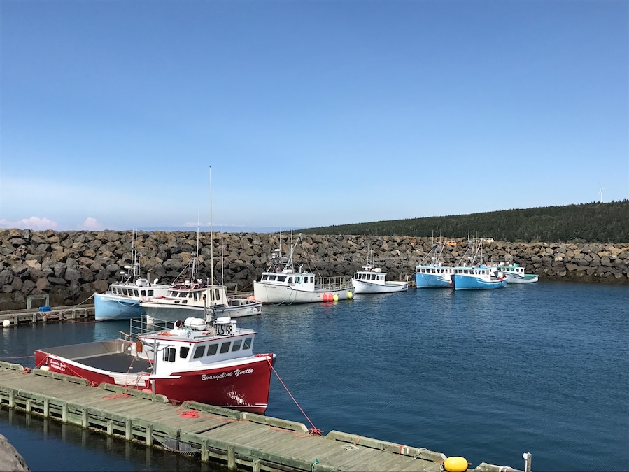 Tiverton harbor.