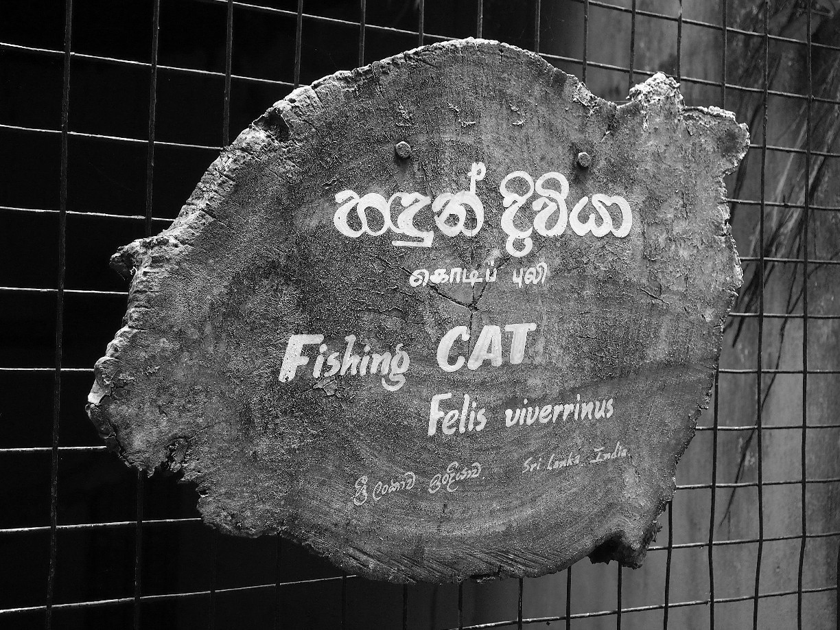 An artistic name board in National Zoo of Sri Lanka. It's eye catching.