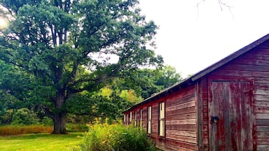 #centennialfarm #barn #nature #westmichigan #redbarn #colorful