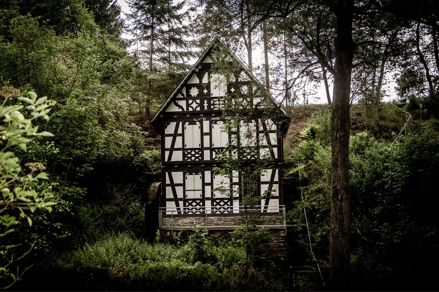 #TakeAHike in the forest near Burg Balduinseck and you'll come across this! Lots to explore