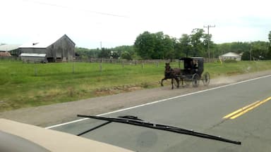 Where one horse power meets 340 horse power. 

The farmer waved to us on the way by! (JUNE 2015)