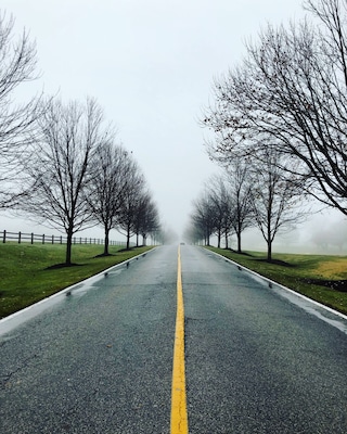A foggy morning in Delaware