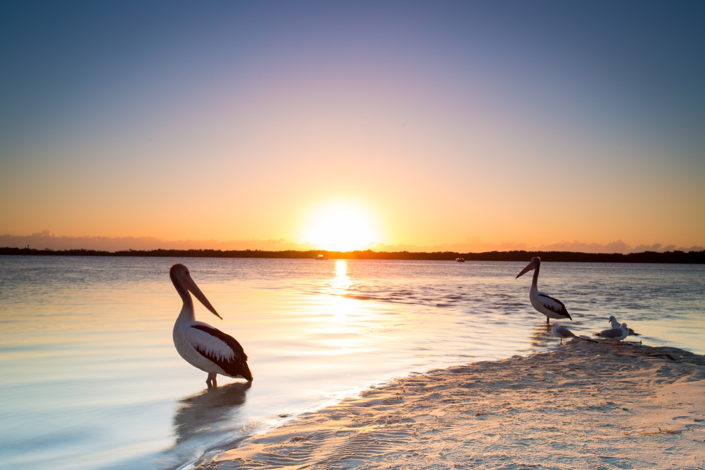 Visit Golden Beach Best of Golden Beach, Sunshine Coast Travel 2022