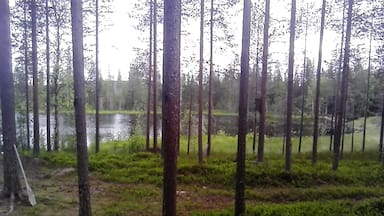Beautiful nature of Finland lapland #takeahike