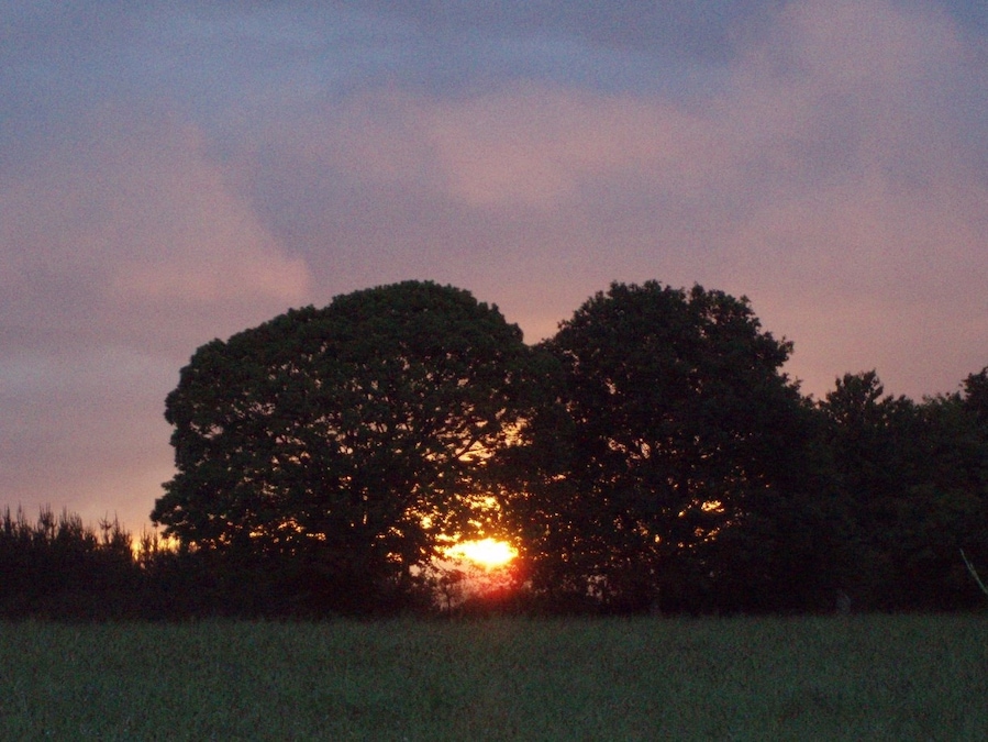 Camino. An early start with a beautifull sunset