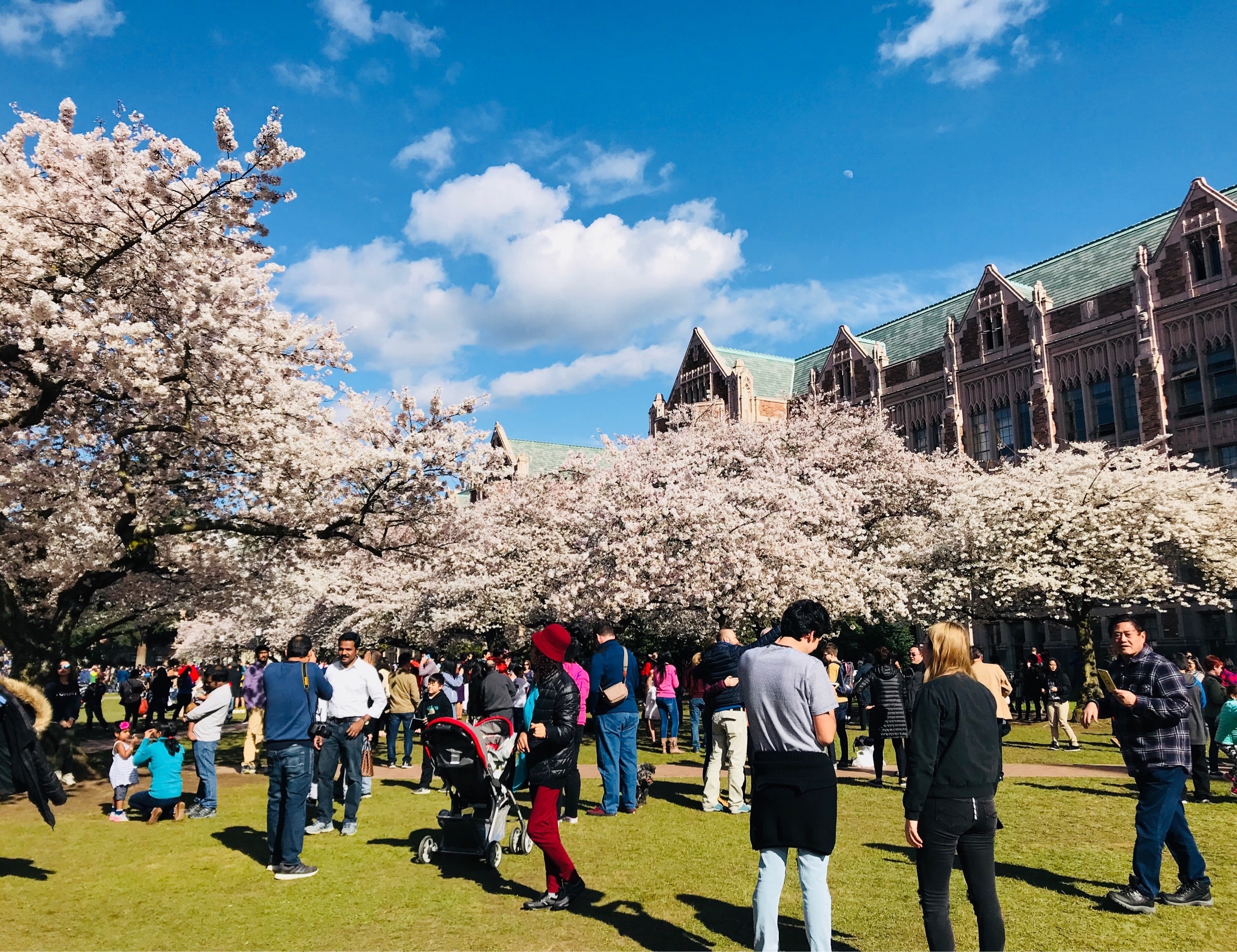 ワシントン大学　ペナント　University of Washington University of Washington, Life Sciences Building | www.usa