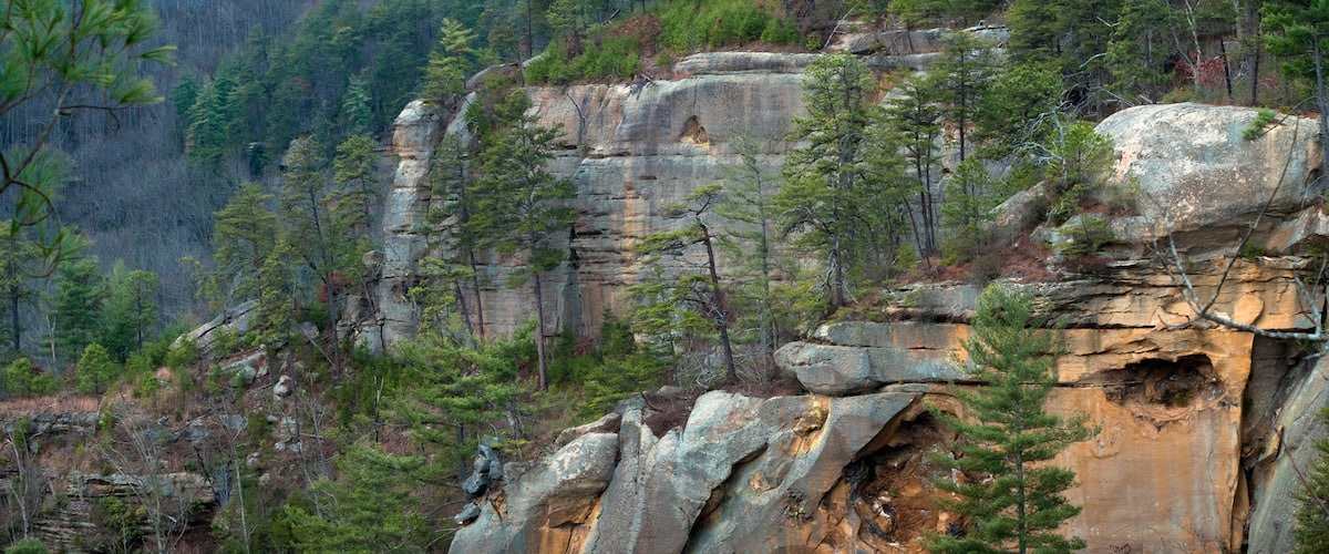 Looking into Wolf Pen Branch in the Red River Gorge, Kentucky