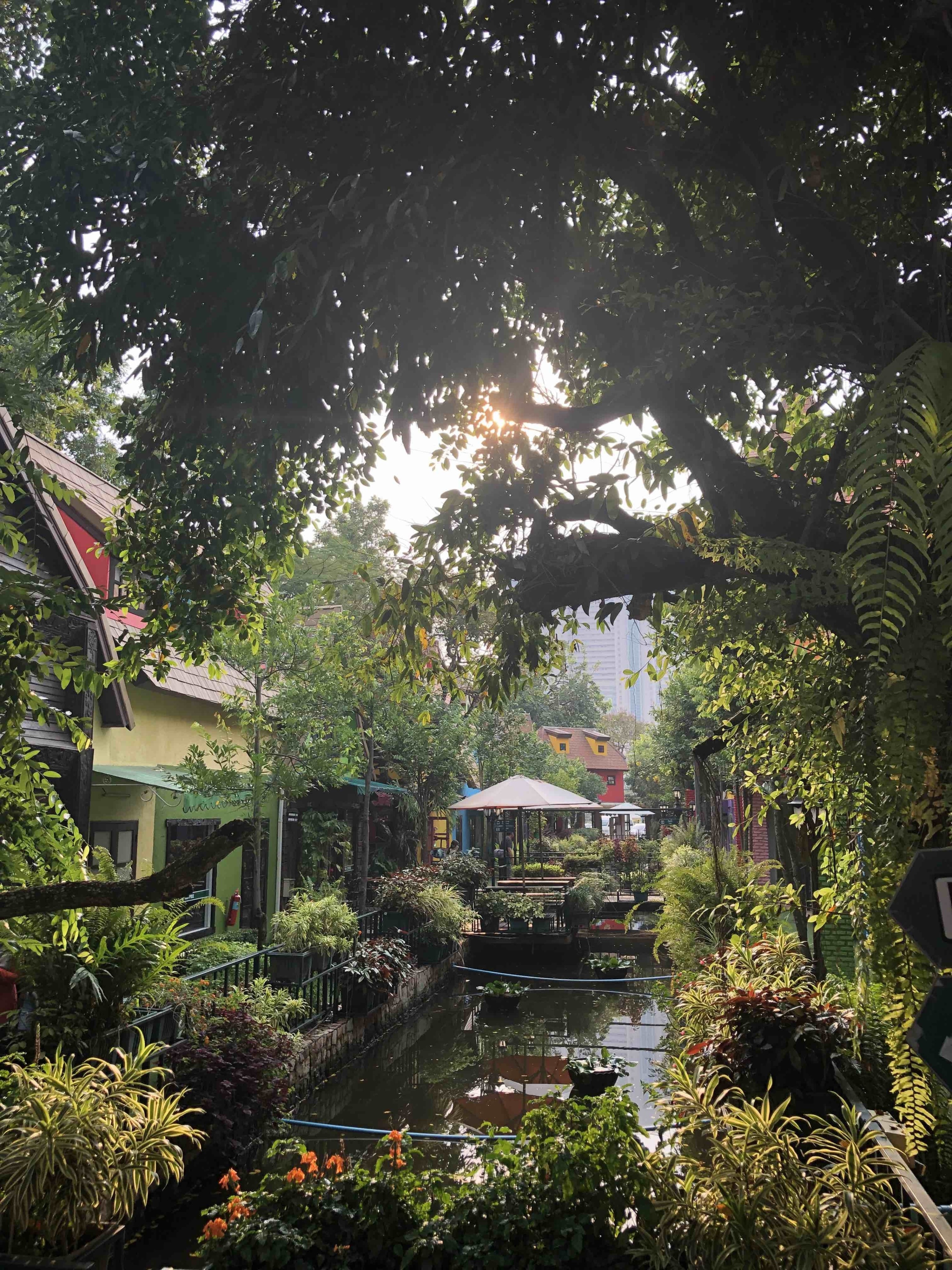 Before watching the Mimosa Cabaret Show in Pattaya, take a walk around its surroundings...