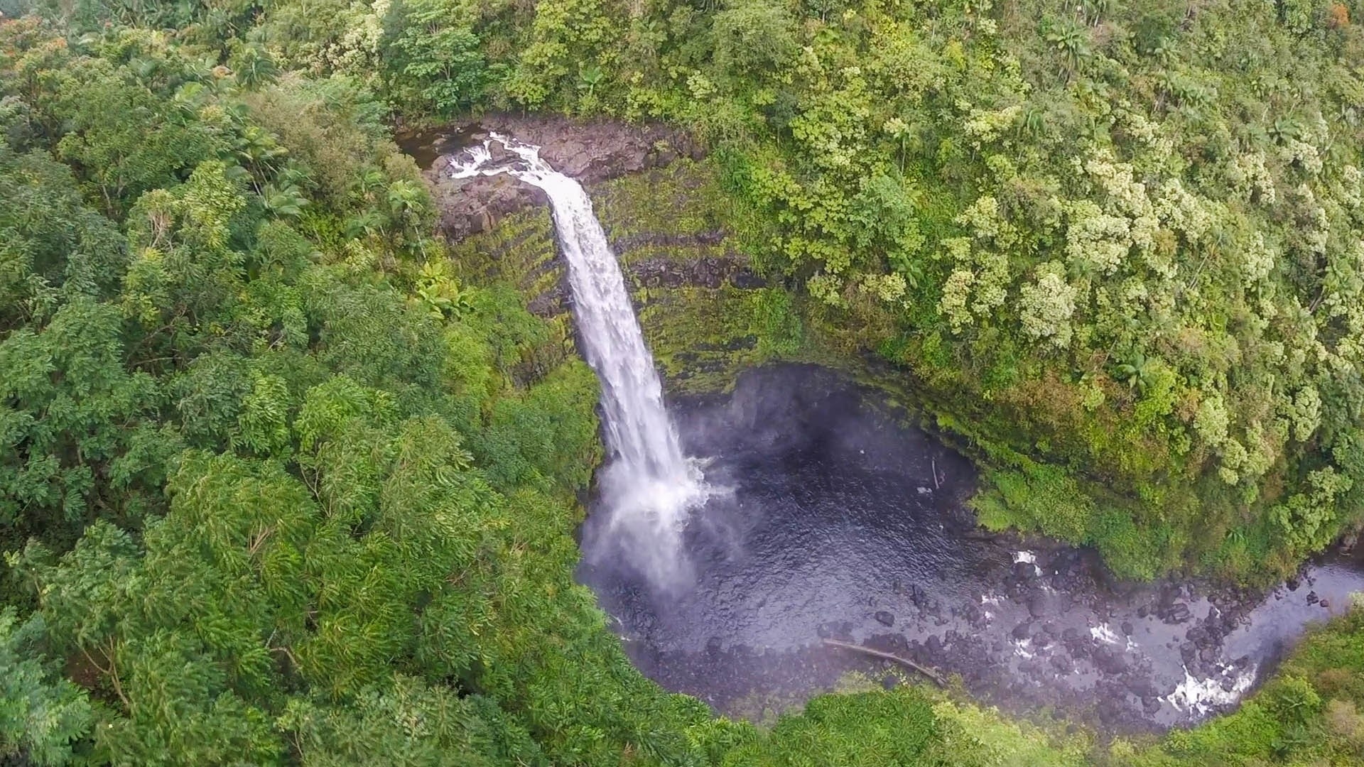 Reisetipps Honomu 2021 das Beste in Honomu entdecken Expedia