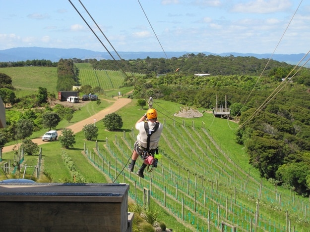First time ever zipling - over hte vineyards with a view to Auckland in the distance - very cool! 