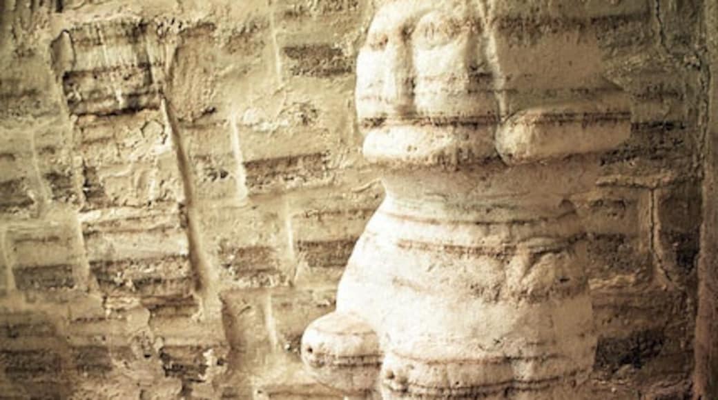 Foto por rabbit.Hole