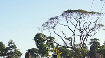 Walking to the #beach #Jaco #costarica