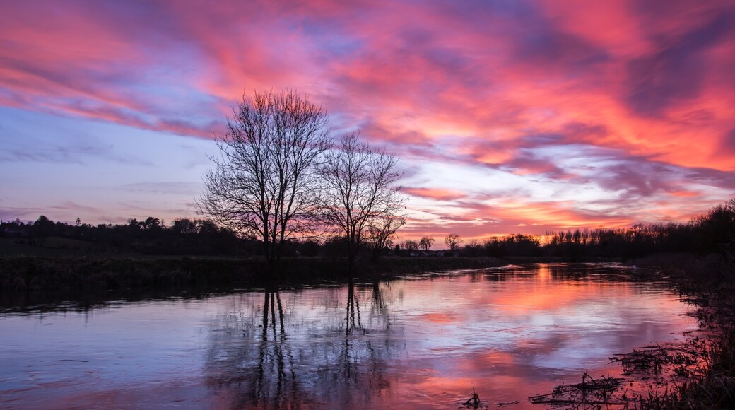 Foto tomada por Mike Owen