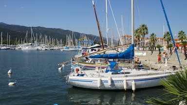 The Port of Argeles in France