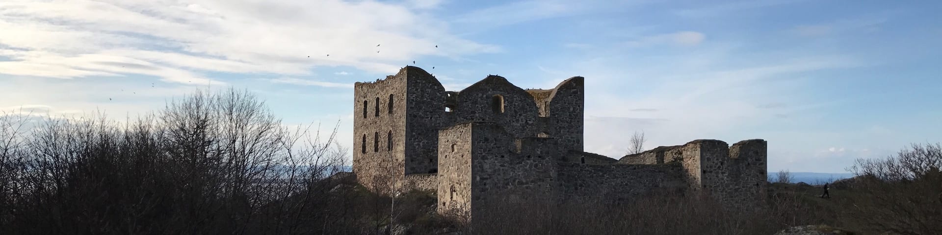 Brahehus Slott