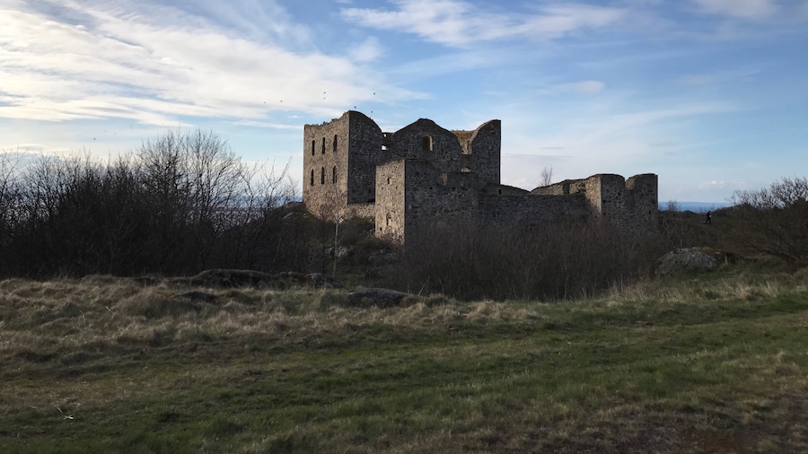 Brahehus