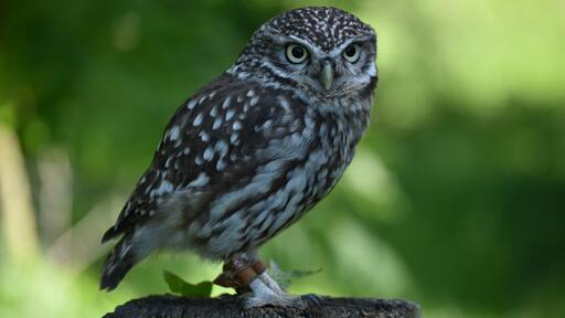 Valokuva: Lauren Pinfield