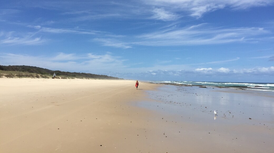 Angels Beach, Ballina, New South Wales, Australia