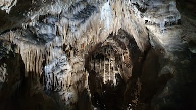 A picture shot in the cave nearby.  Really beautiful scenes! 