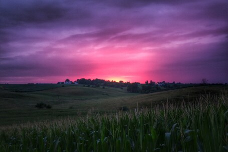 value: "Just a \"flyover state\" to some, but those born and raised in the Midwest know how beautiful a summer sunset can be. #goldenhour "
