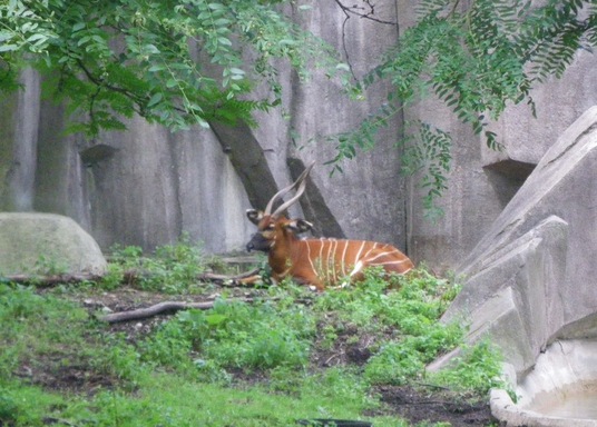 ウォーワトサ ミルウォーキー郡動物園 周辺のホテル 宿泊予約 格安ホテル予約 最安値検索 ホテルズドットコム ウォーワトサ ミルウォーキー郡動物園 周辺のホテル 宿泊予約 格安ホテル予約 最安値検索 ホテルズドットコム