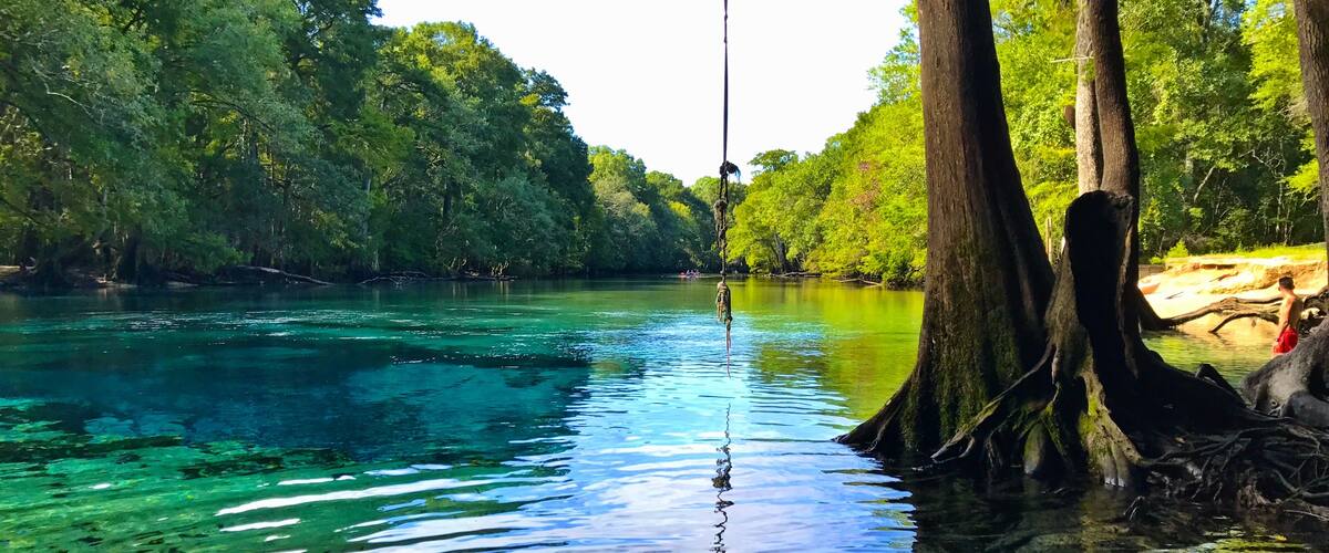 #AquaTrove Quiet day kayaking Cypress Springs and Holmes Creek. Great paddling trail in Vernon FL.